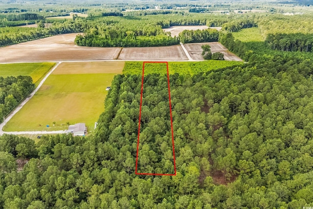 LOT2 W G Rd, Conway, SC 29526 - photo 8