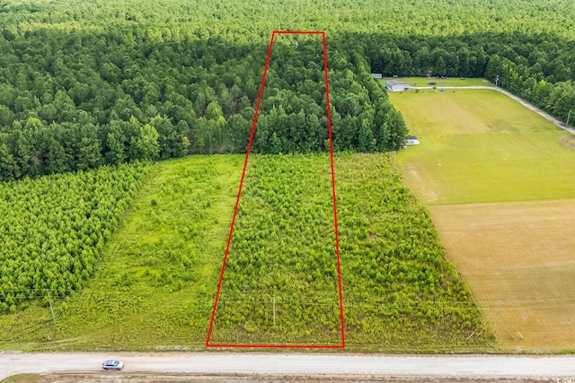 LOT2 W G Rd, Conway, SC 29526 - photo 9