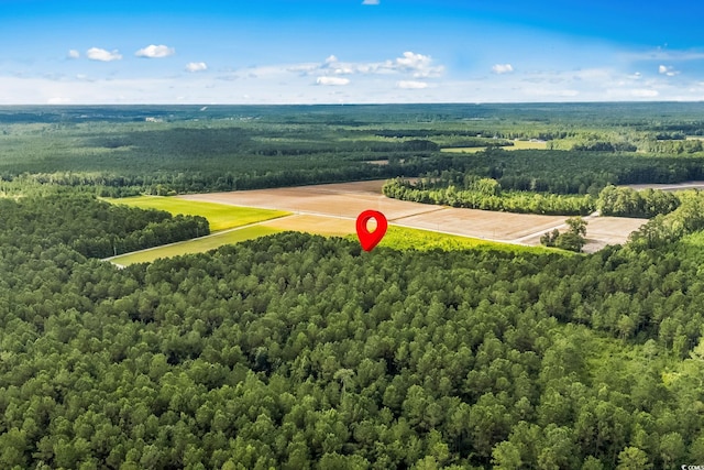 LOT2 W G Rd, Conway, SC 29526 - photo 10