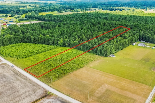LOT2 W G Rd, Conway, SC 29526 - photo 12