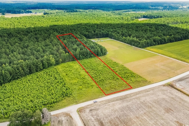 LOT2 W G Rd, Conway, SC 29526 - photo 14