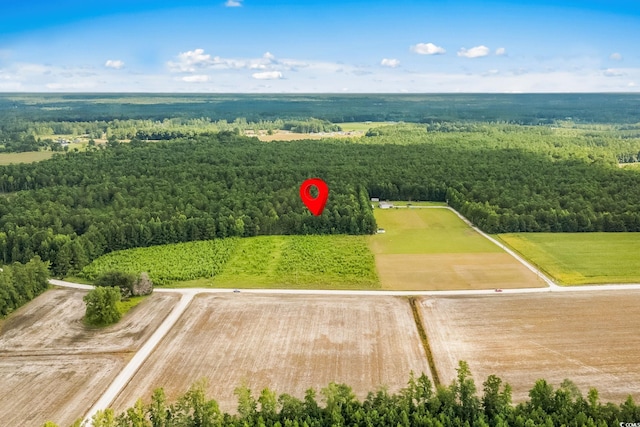 LOT2 W G Rd, Conway, SC 29526 - photo 16