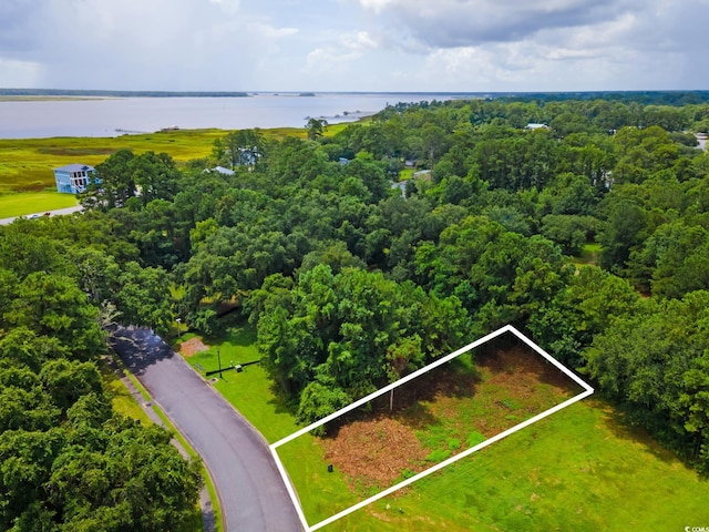 Oak Bay Dr, Georgetown, SC 29440 - photo 1
