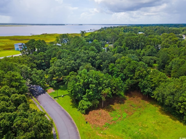 Oak Bay Dr, Georgetown, SC 29440 - photo 3