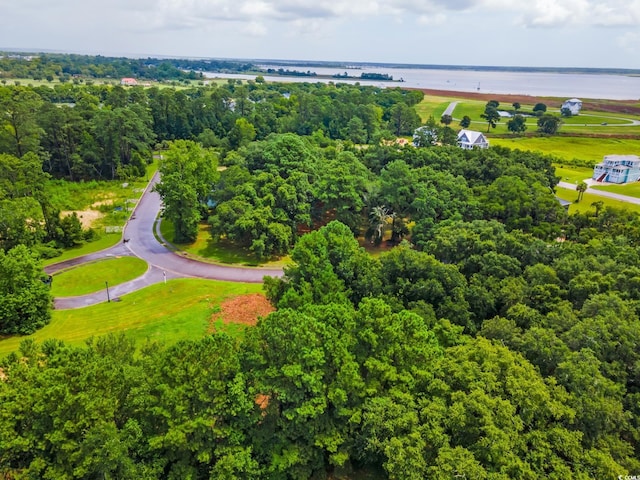 Oak Bay Dr, Georgetown, SC 29440 - photo 6