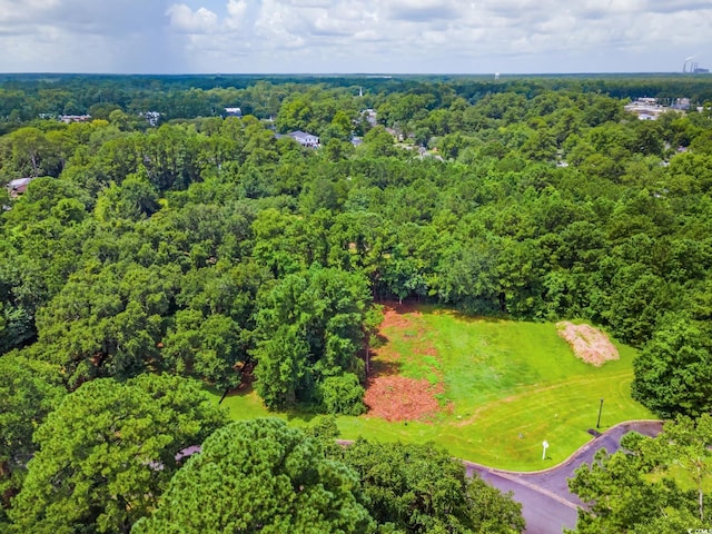 Oak Bay Dr, Georgetown, SC 29440 - photo 10