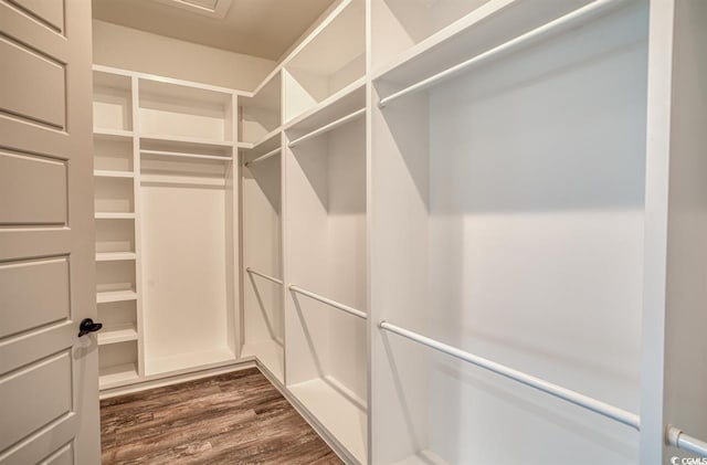 1009 Englemann Oak Dr, Myrtle Beach, SC 29579 - photo 16