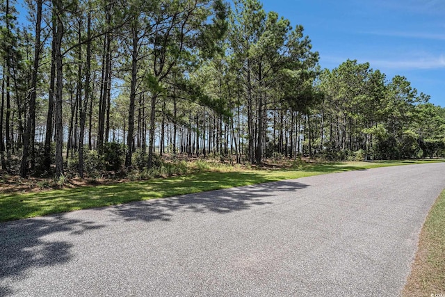 2862 Vanderbilt Blvd, Pawleys Island, SC 29585 - photo 2