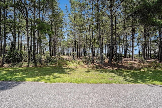 2862 Vanderbilt Blvd, Pawleys Island, SC 29585 - photo 9