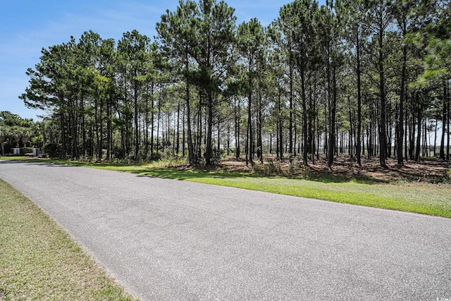 2862 Vanderbilt Blvd, Pawleys Island, SC 29585 - photo 13