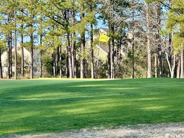 6253 Catalina Dr Unit 422, North Myrtle Beach, SC 29582 - photo 21