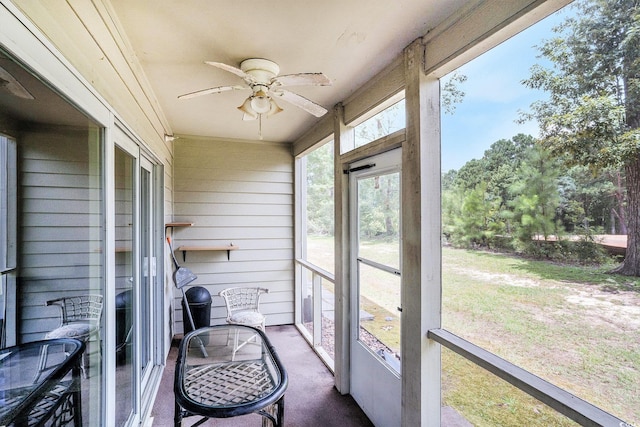 1280 White Tree Ln Unit G, Myrtle Beach, SC 29588 - photo 18