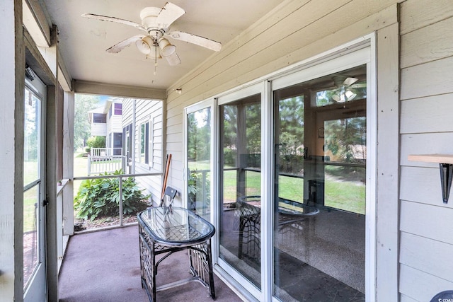 1280 White Tree Ln Unit G, Myrtle Beach, SC 29588 - photo 19