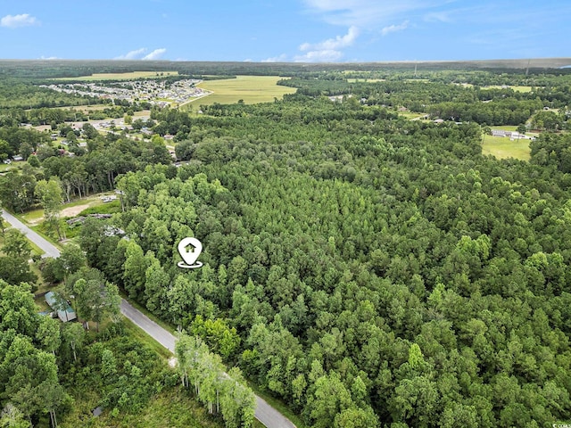 175 Crepe Myrtle Dr, Loris, SC 29569 - photo 1