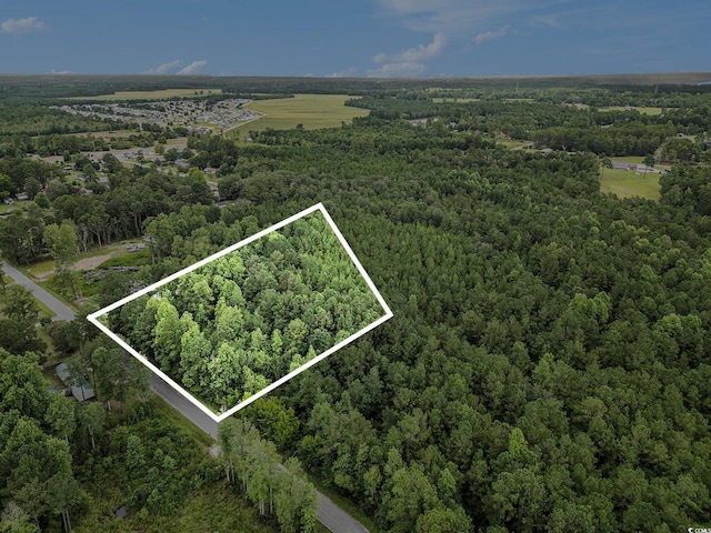 175 Crepe Myrtle Dr, Loris, SC 29569 - photo 2