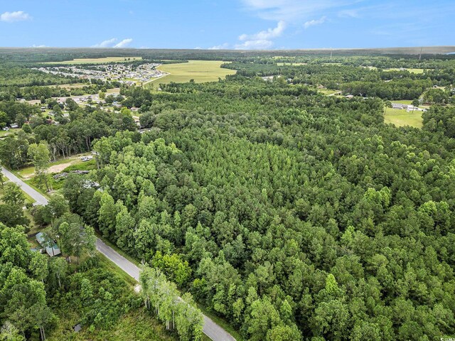 175 Crepe Myrtle Dr, Loris, SC 29569 - photo 3