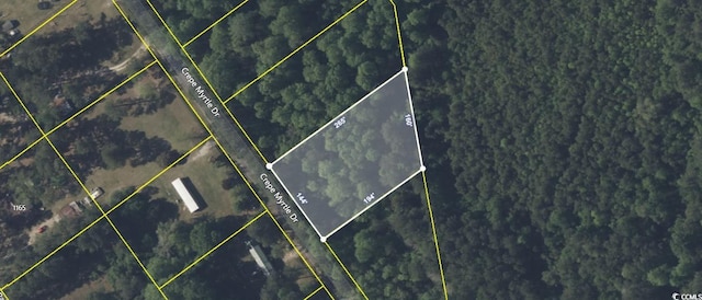 175 Crepe Myrtle Dr, Loris, SC 29569 - photo 4