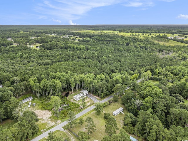 175 Crepe Myrtle Dr, Loris, SC 29569 - photo 5