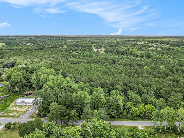 175 Crepe Myrtle Dr, Loris, SC 29569 - photo 8