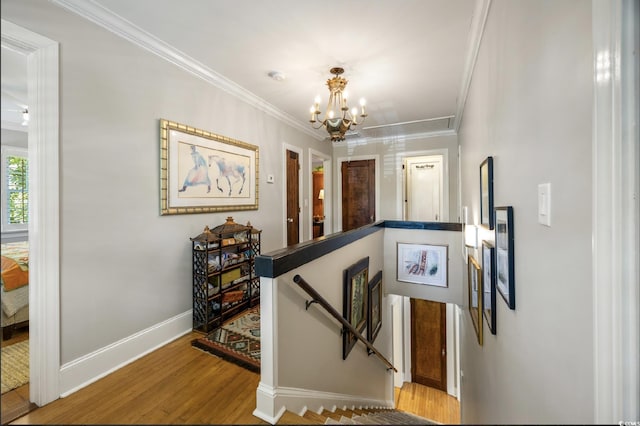 802 Elm St, Conway, SC 29526 - photo 17