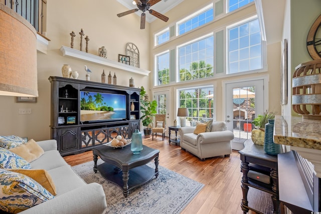 1527 Biltmore Dr, Myrtle Beach, SC 29579 - photo 6