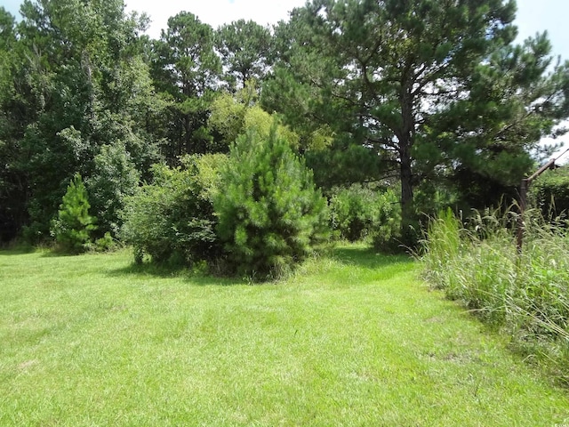 1914 Turkey Creek Rd, Nesmith, SC 29580 - photo 8