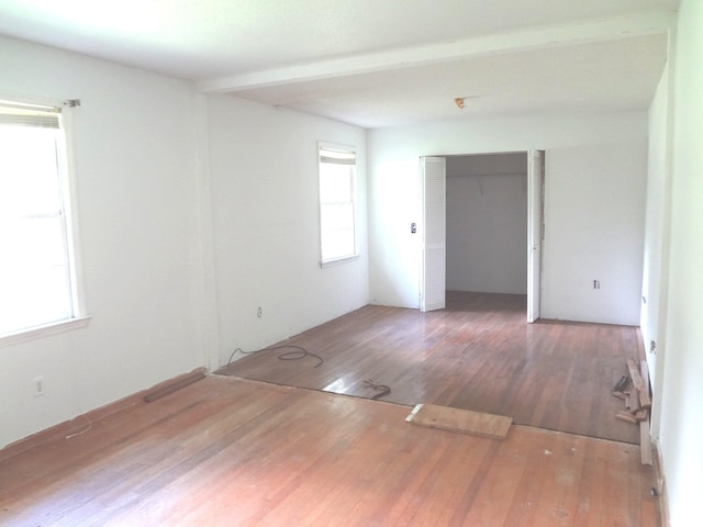 1914 Turkey Creek Rd, Nesmith, SC 29580 - photo 16