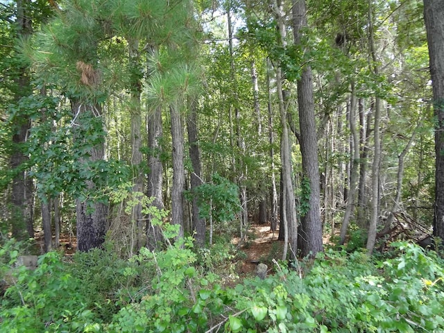 1914 Turkey Creek Rd, Nesmith, SC 29580 - photo 33