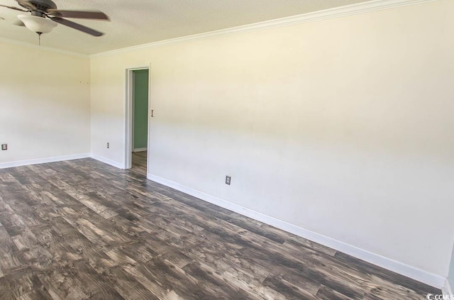 814 Pampas Dr Unit 814, Myrtle Beach, SC 29577 - photo 3