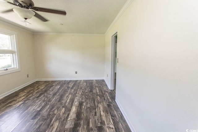 814 Pampas Dr Unit 814, Myrtle Beach, SC 29577 - photo 5