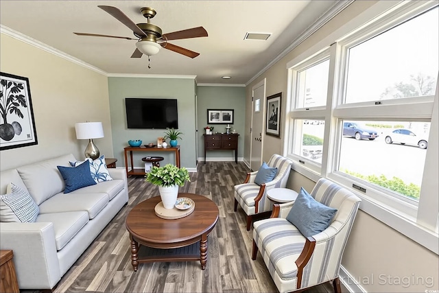814 Pampas Dr Unit 814, Myrtle Beach, SC 29577 - photo 8