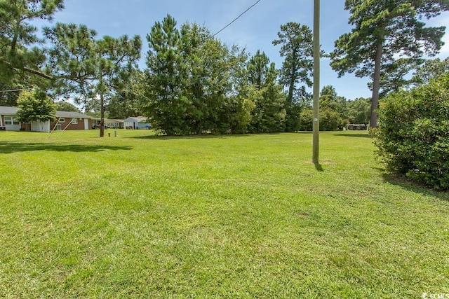 814 Pampas Dr Unit 814, Myrtle Beach, SC 29577 - photo 29