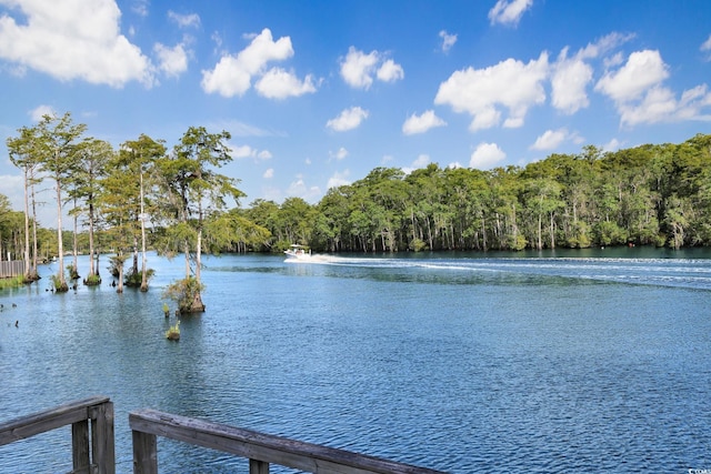 260 Fox Catcher Dr, Myrtle Beach, SC 29588 - photo 32