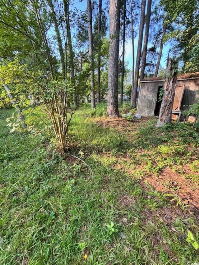 1101 Temple St, Conway, SC 29526 - photo 11