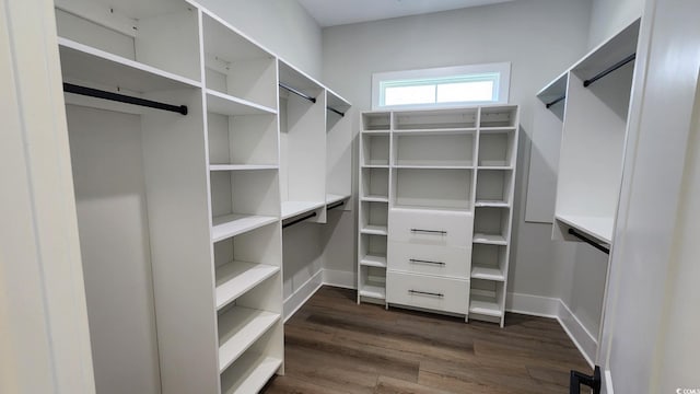 2566 Lavender Ln, Myrtle Beach, SC 29579 - photo 9