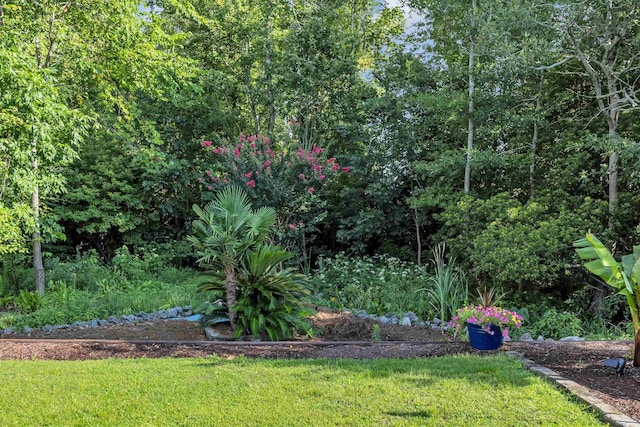820 9th Ave S, North Myrtle Beach, SC 29582 - photo 11