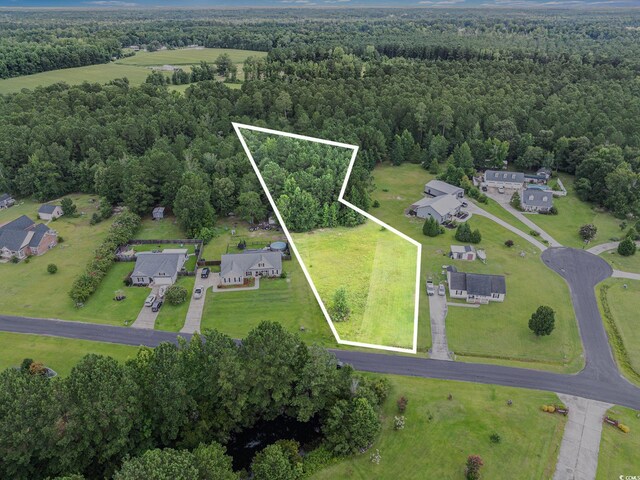 214 Cat Tail Bay Dr, Conway, SC 29527 - photo 2