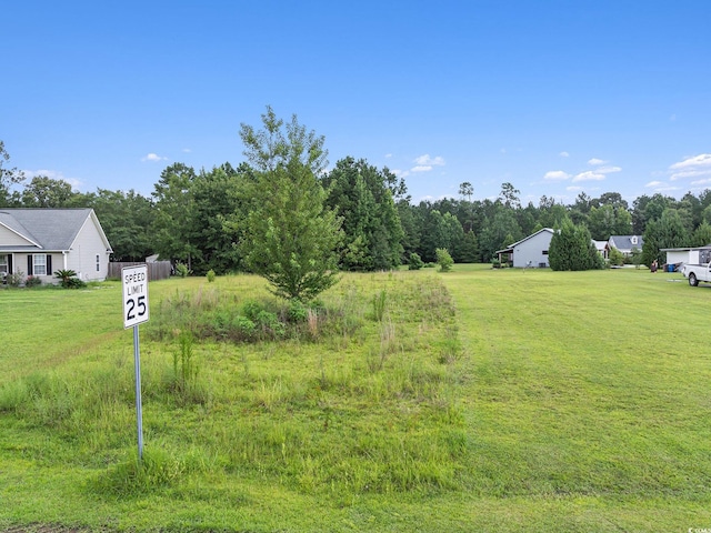 214 Cat Tail Bay Dr, Conway, SC 29527 - photo 3