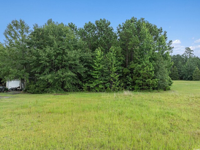 214 Cat Tail Bay Dr, Conway, SC 29527 - photo 5