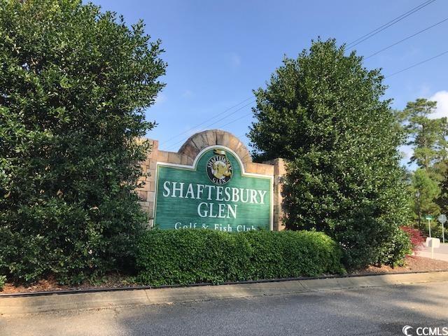 709 Shaftesbury Ln, Conway, SC 29526 - photo 8