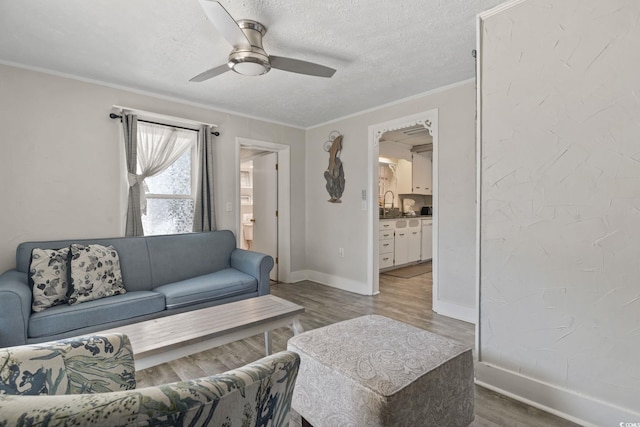 605 36th Ave S, North Myrtle Beach, SC 29582 - photo 21