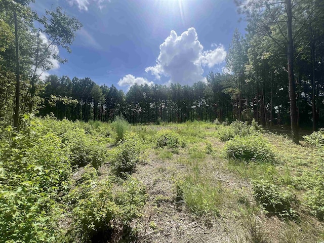 TBDLOT6B Red Bluff Rd, Loris, SC 29569 - photo 1