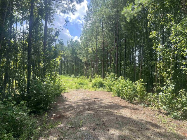 TBDLOT6B Red Bluff Rd, Loris, SC 29569 - photo 4
