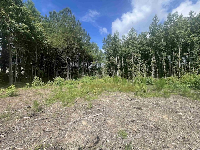 TBDLOT6B Red Bluff Rd, Loris, SC 29569 - photo 5