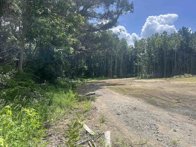 TBDLOT6B Red Bluff Rd, Loris, SC 29569 - photo 7