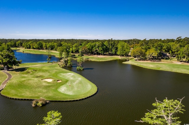 176 Portrush Loop, Pawleys Island, SC 29585 - photo 38