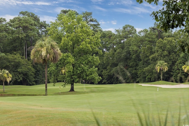 137 Herrmann Ridge Ct, Myrtle Beach, SC 29579 - photo 36