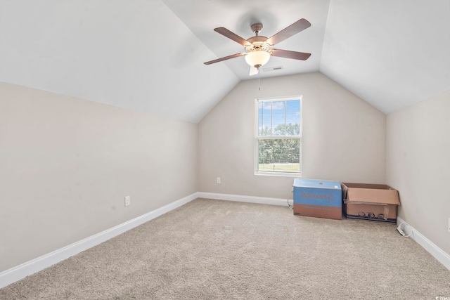 1170 Daisy Rd, Loris, SC 29569 - photo 26