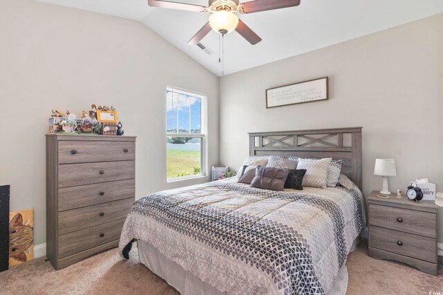 1170 Daisy Rd, Loris, SC 29569 - photo 21