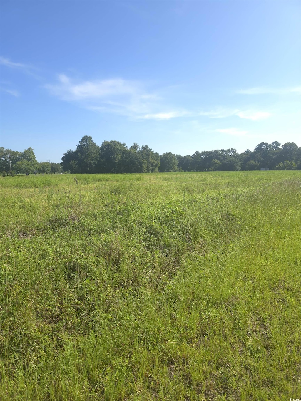 2095 Ray Rd, Hemingway, SC 29554 - photo 2